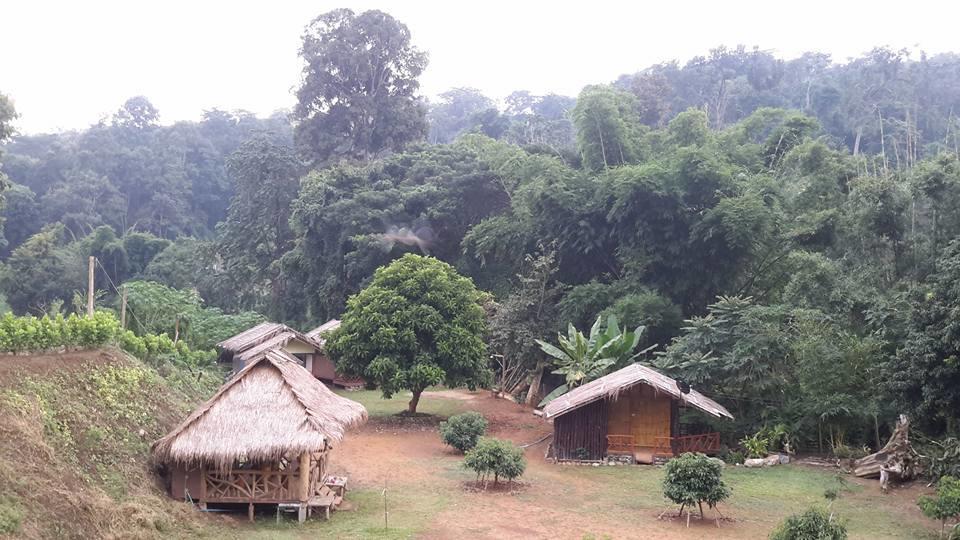 Doo-Dao-Doi Farm&Stay Chiang Dao Exterior foto