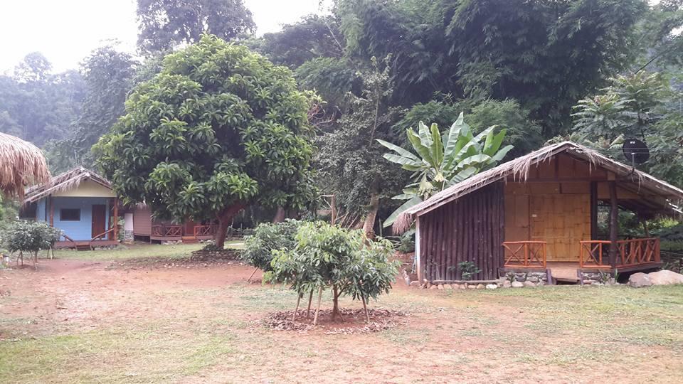 Doo-Dao-Doi Farm&Stay Chiang Dao Exterior foto