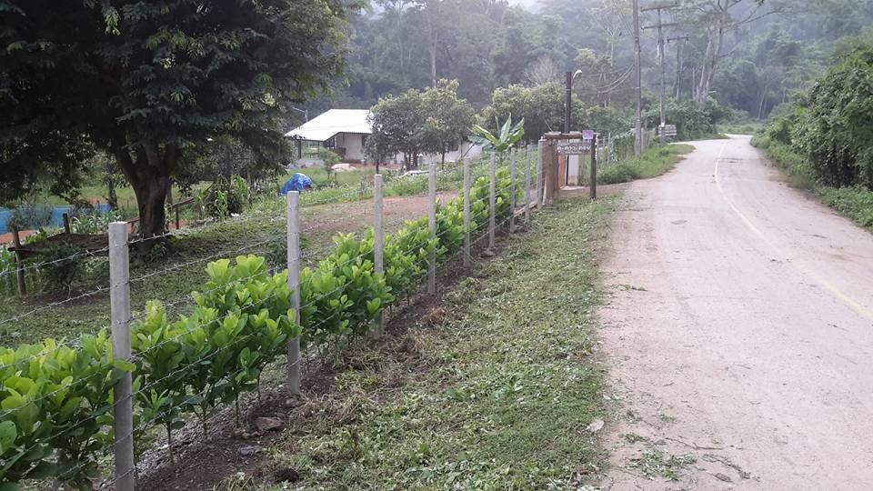 Doo-Dao-Doi Farm&Stay Chiang Dao Exterior foto